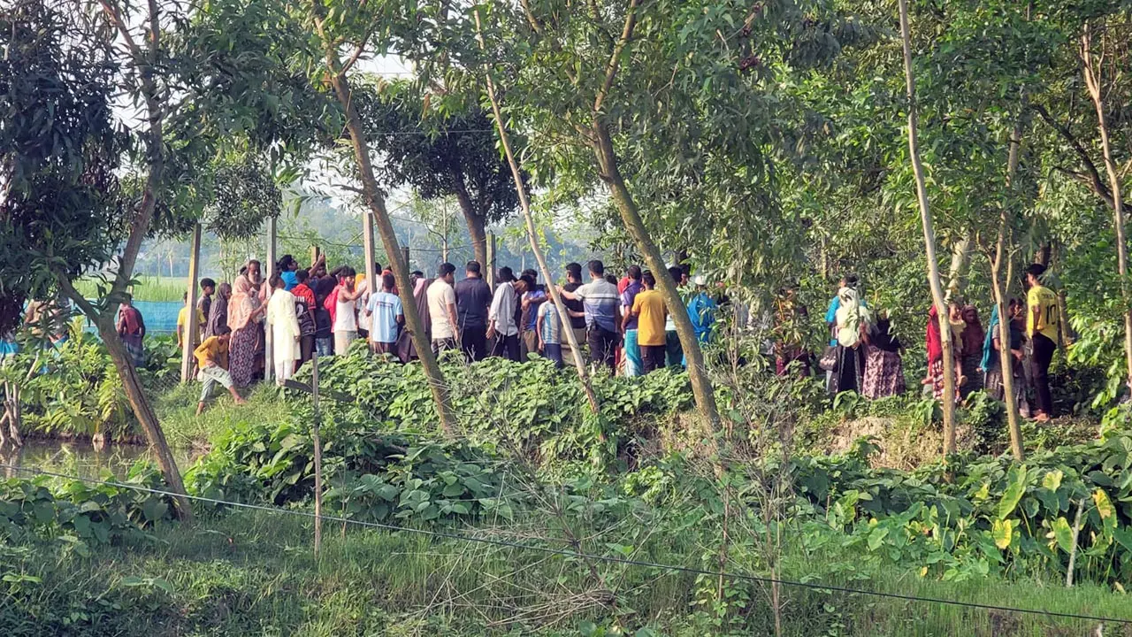 খেজুর কুড়াতে গিয়ে বিদ্যুৎস্পৃষ্টে প্রাণ গেল শিশুর