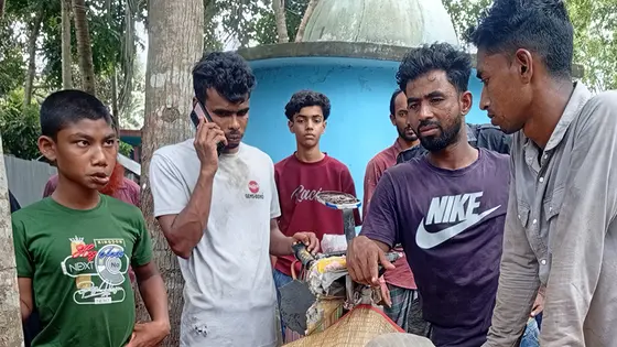 নড়াইলে পুকুরে ডুবে আপন দুই ভাইয়ের মৃত্যু