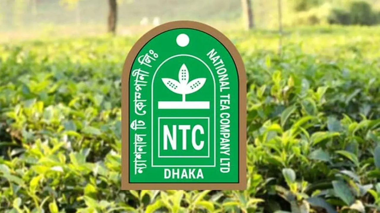 লোকসানের ভারে ঝুঁকছে ন্যাশনাল টি, ভবিষ্যৎ নিয়ে নিরীক্ষকের শঙ্কা