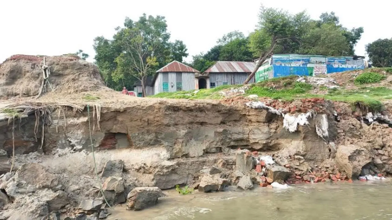 দৌলতদিয়া ফেরিঘাট এলাকায় পদ্মার তীব্র ভাঙন, আতঙ্কে নদী পাড়ের মানুষ