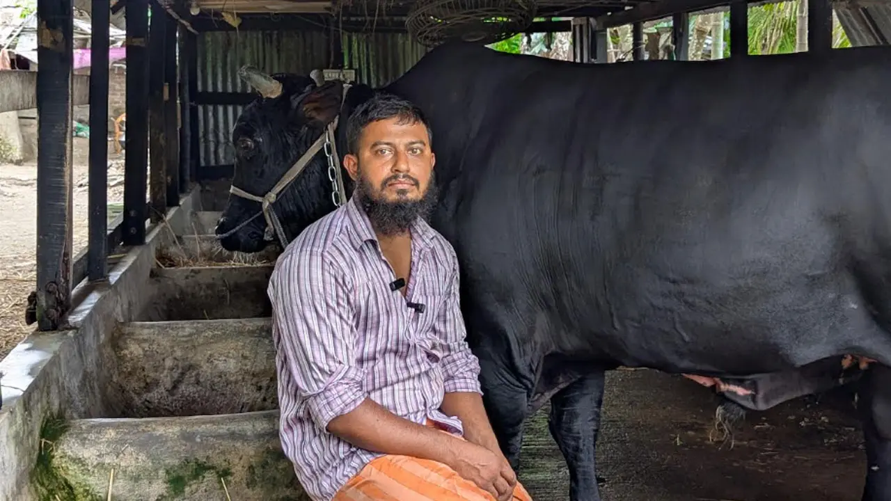 খালেদা জিয়াকে ‘কালো মানিক’ উপহার দিতে চাওয়া সেই সোহাগ গ্রেপ্তার