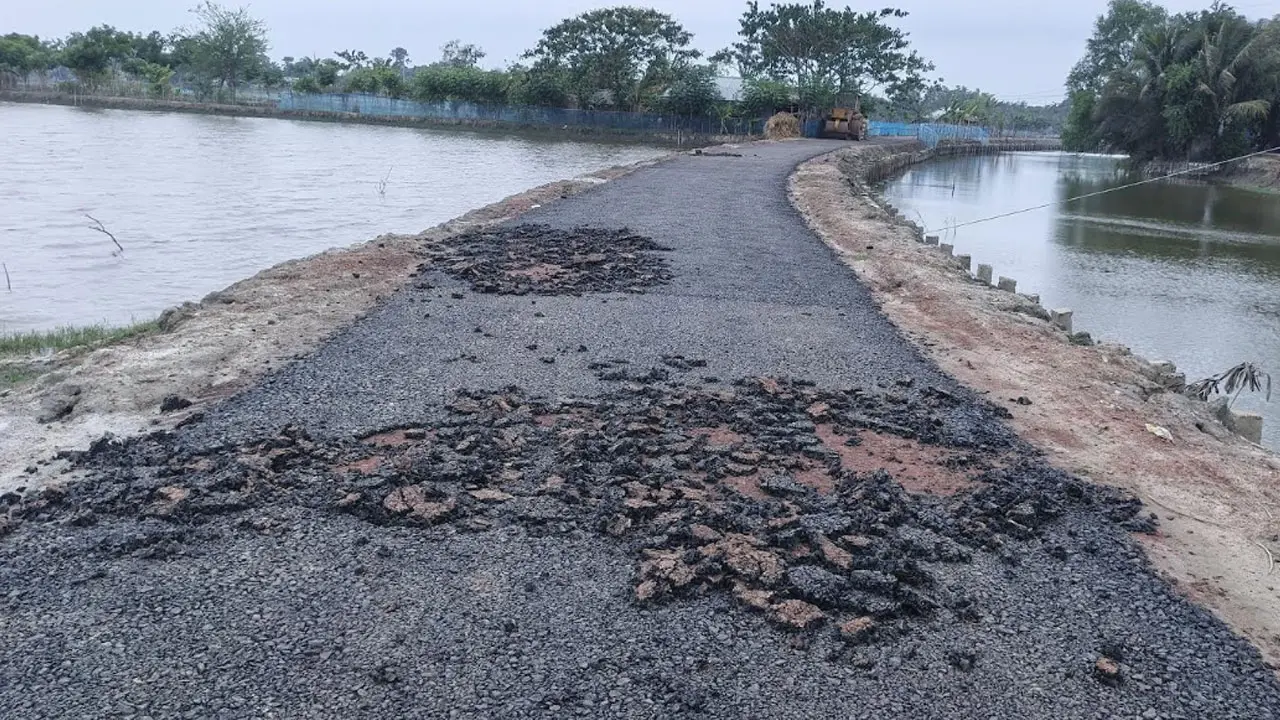 হাতের টানেই উঠে যাচ্ছে সড়কের পিচ