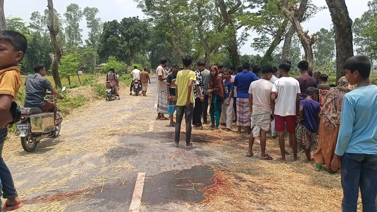খড়ের ওপর নিয়ন্ত্রণ হারিয়ে পিকআপের নিচে মোটরসাইকেল, নিহত ২