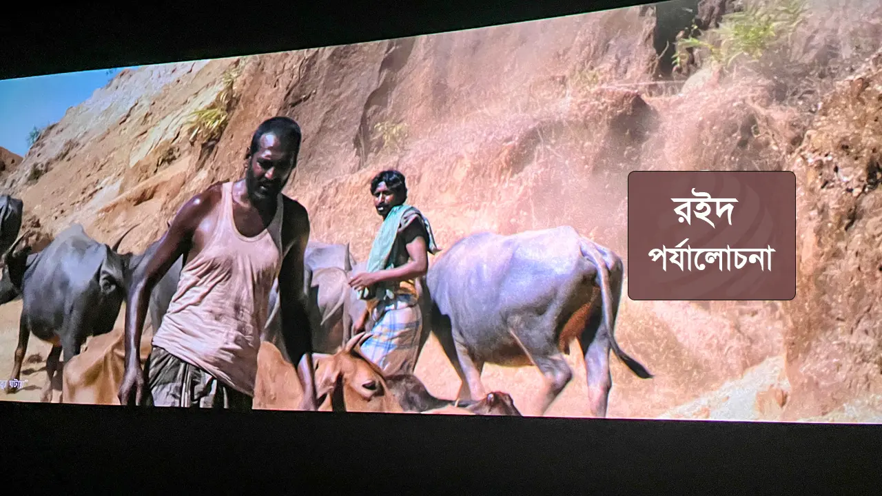 রইদ : সাদু, পাগলী কিংবা আমার শৈশবে দেখা দরবেশের গল্প
