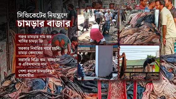 সরকারি দামের চেয়ে অনেক কমে চামড়া বিক্রি, প্রাপ্য হক পাচ্ছে না গরিবরা