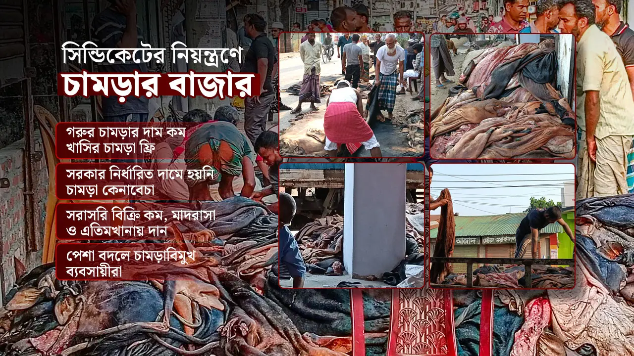 সরকারি দামের চেয়ে অনেক কমে চামড়া বিক্রি, প্রাপ্য হক পাচ্ছে না গরিবরা