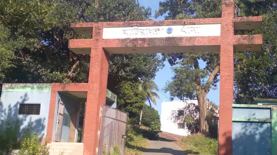 জাম পাড়তে গিয়ে গাছ থেকে পড়ে শিশুর মৃত্যু
