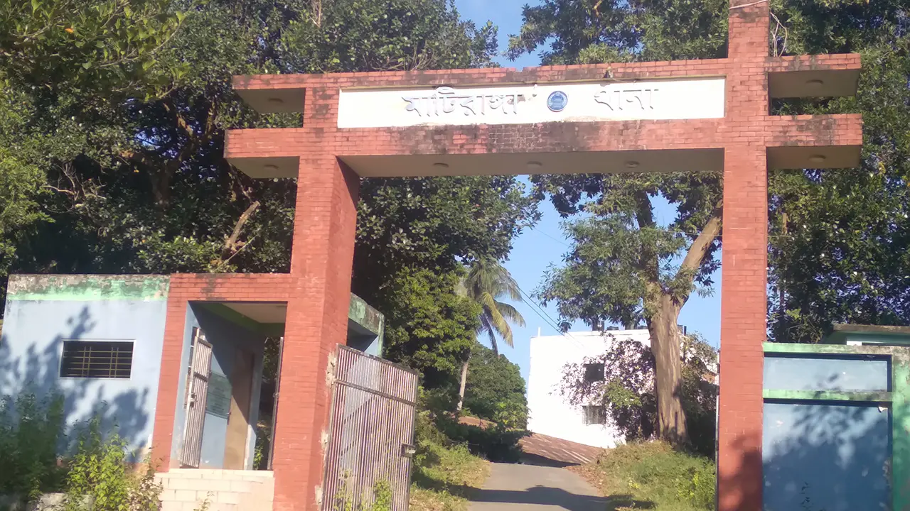 জাম পাড়তে গিয়ে গাছ থেকে পড়ে শিশুর মৃত্যু