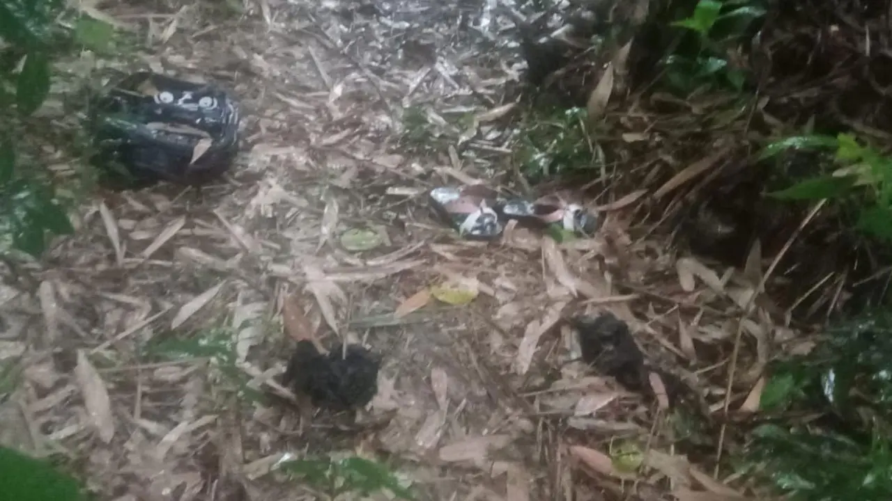 স্কুল থেকে টিসি দেওয়ার পর ছাত্রী নিখোঁজ, ঝোপে মিলল খণ্ড-বিখণ্ড মরদেহ