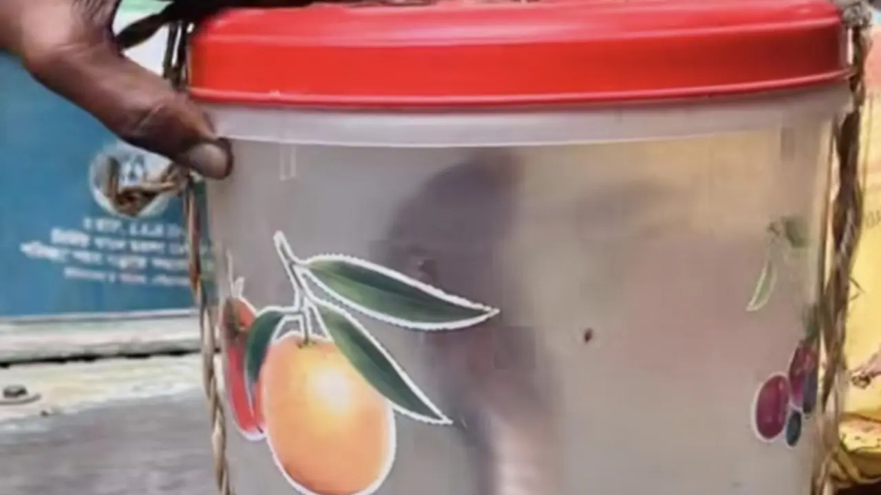 কামড় খেয়ে জ্যান্ত সাপ নিয়ে হাসপাতালে হাজির যুবক