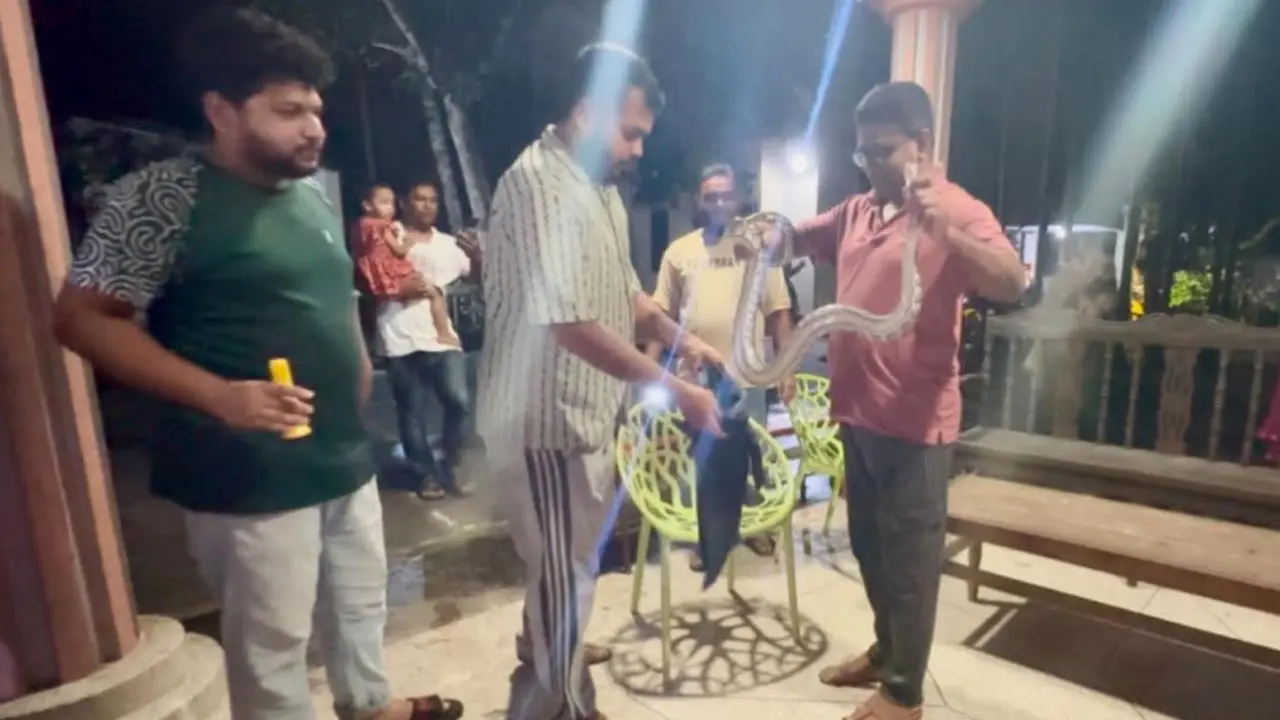 শ্রীমঙ্গলে বাসা থেকে অজগর সাপ উদ্ধার