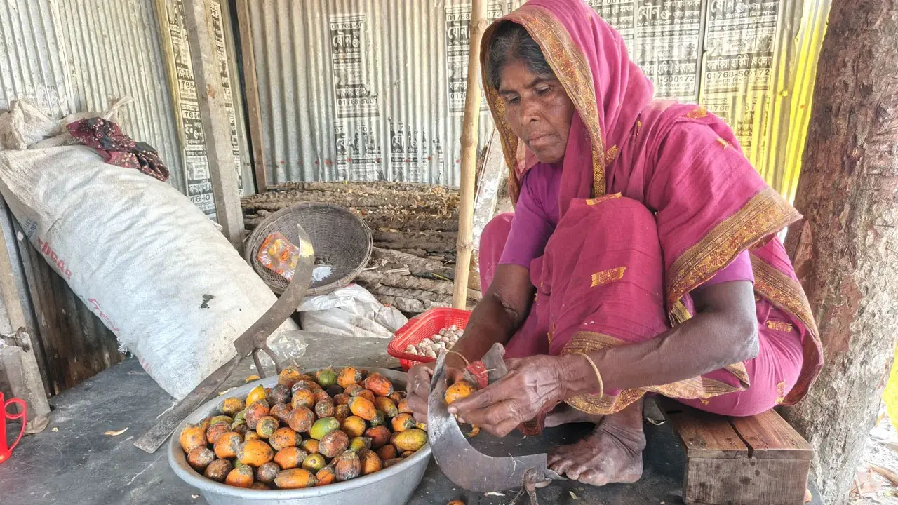 সুপারির খোসায় বদলাচ্ছে শত শত নারীর জীবন