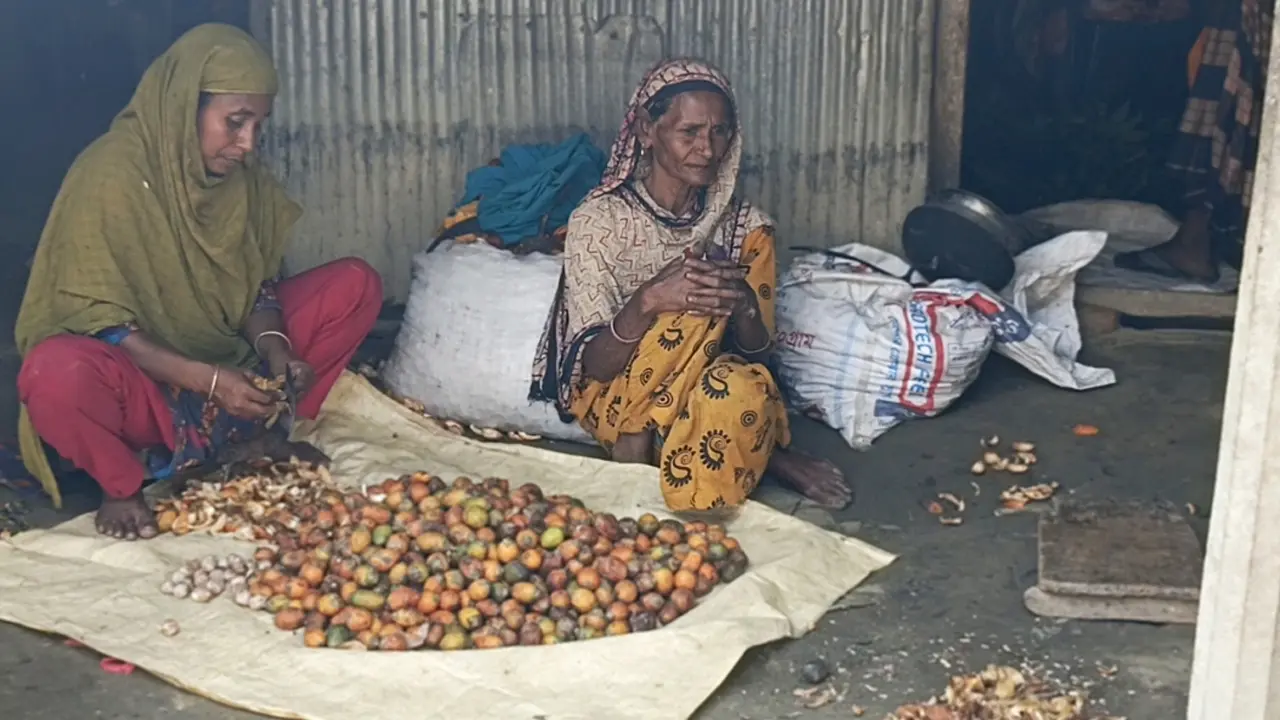 সুপারির খোসায় বদলাচ্ছে শত শত নারীর জীবন