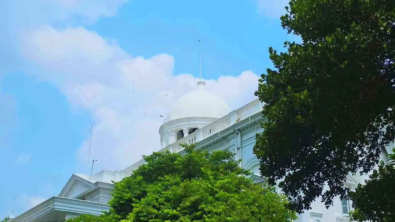 তাইম হত্যা মামলায় তদন্ত কর্মকর্তার জেরা আজ