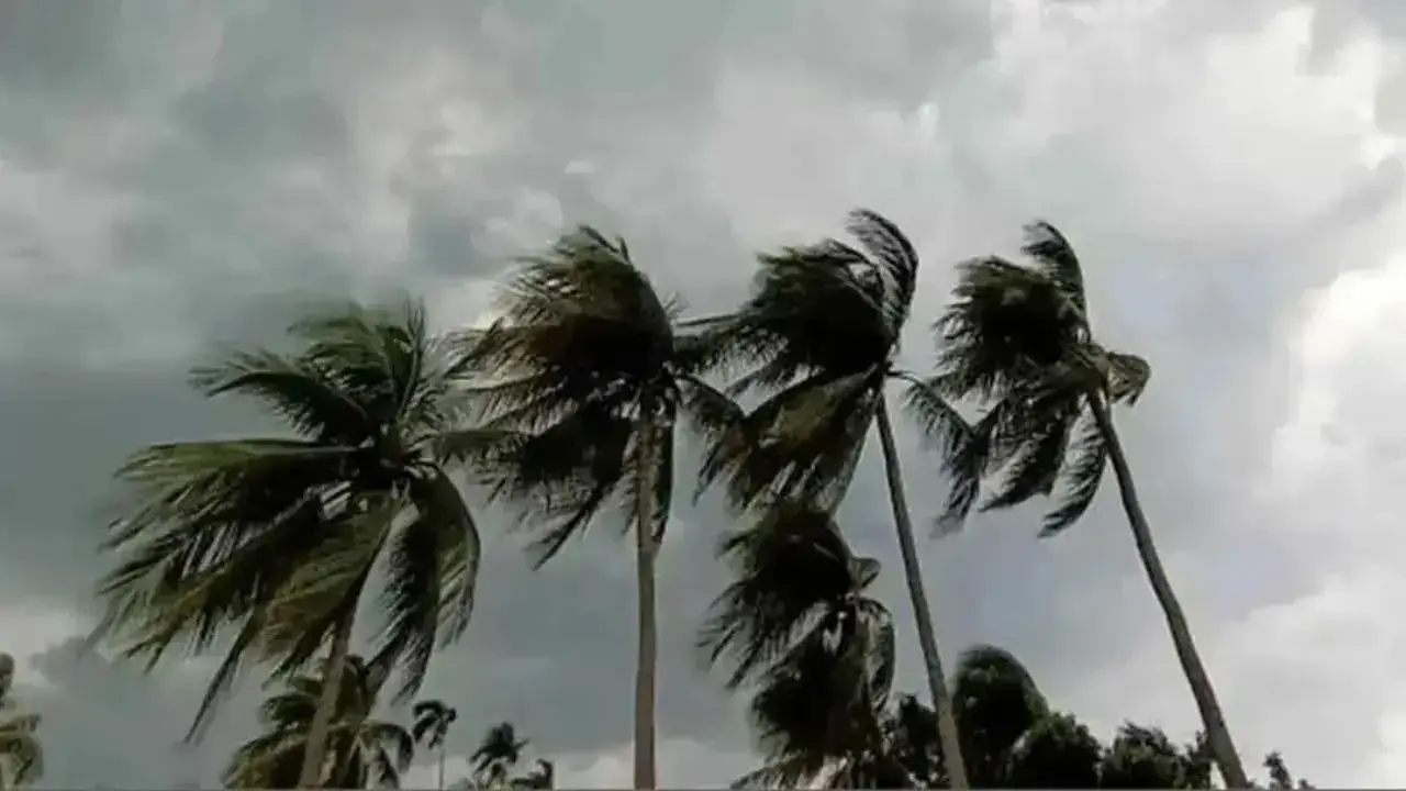 উপকূলীয় সাত অঞ্চলে ৬০ কিলোমিটার বেগে ঝোড়ো হাওয়ার আভাস