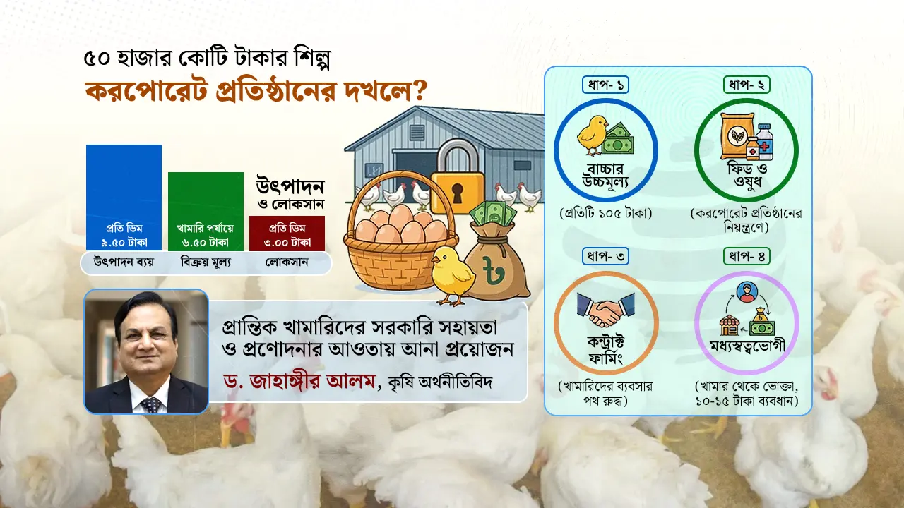 নিঃস্ব হচ্ছেন খামারি : কাদের হাতে ডিম-মুরগির বাজারের অদৃশ্য নিয়ন্ত্রণ?
