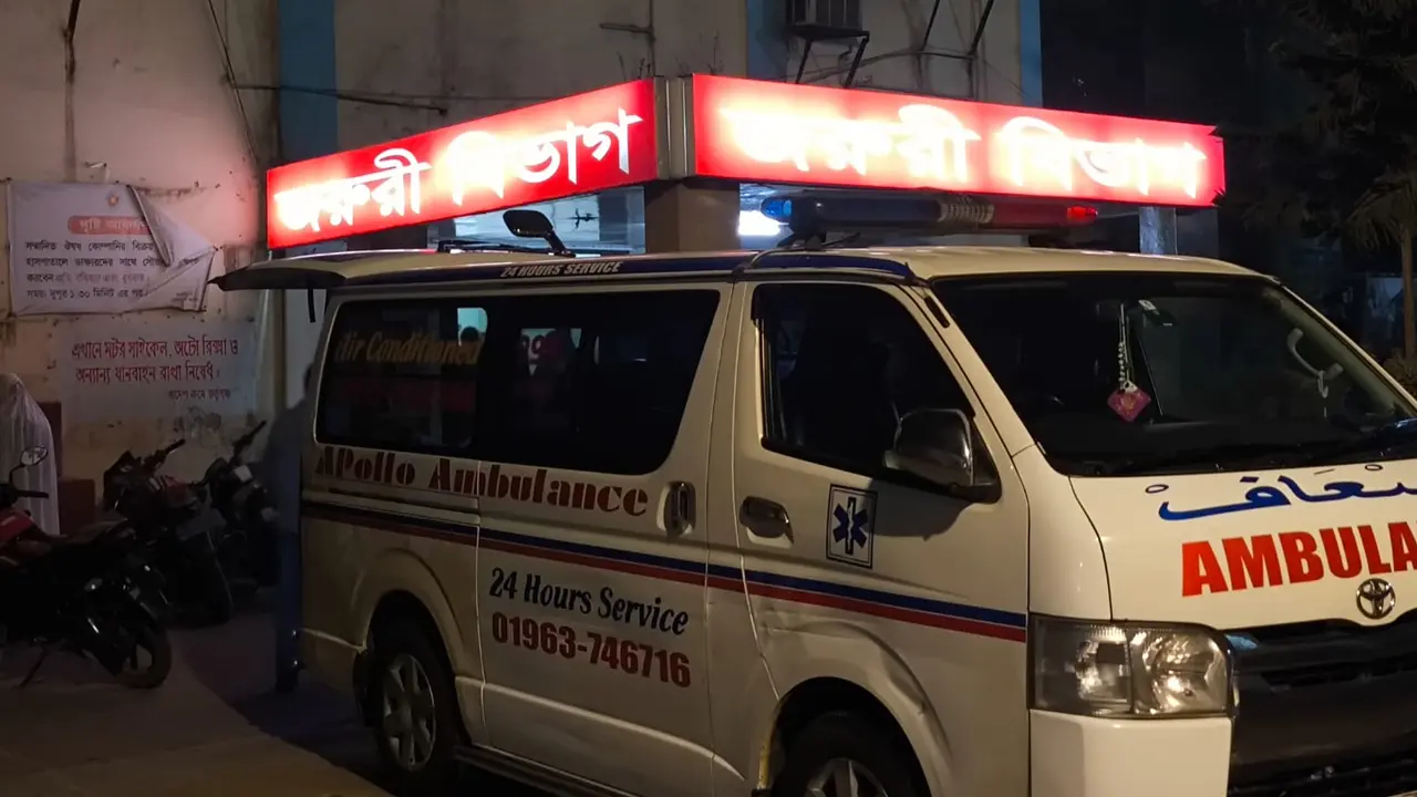 জামালপুরে সৎ ভাইয়ের রডের আঘাতে প্রাণ গেল বড় ভাইয়ের