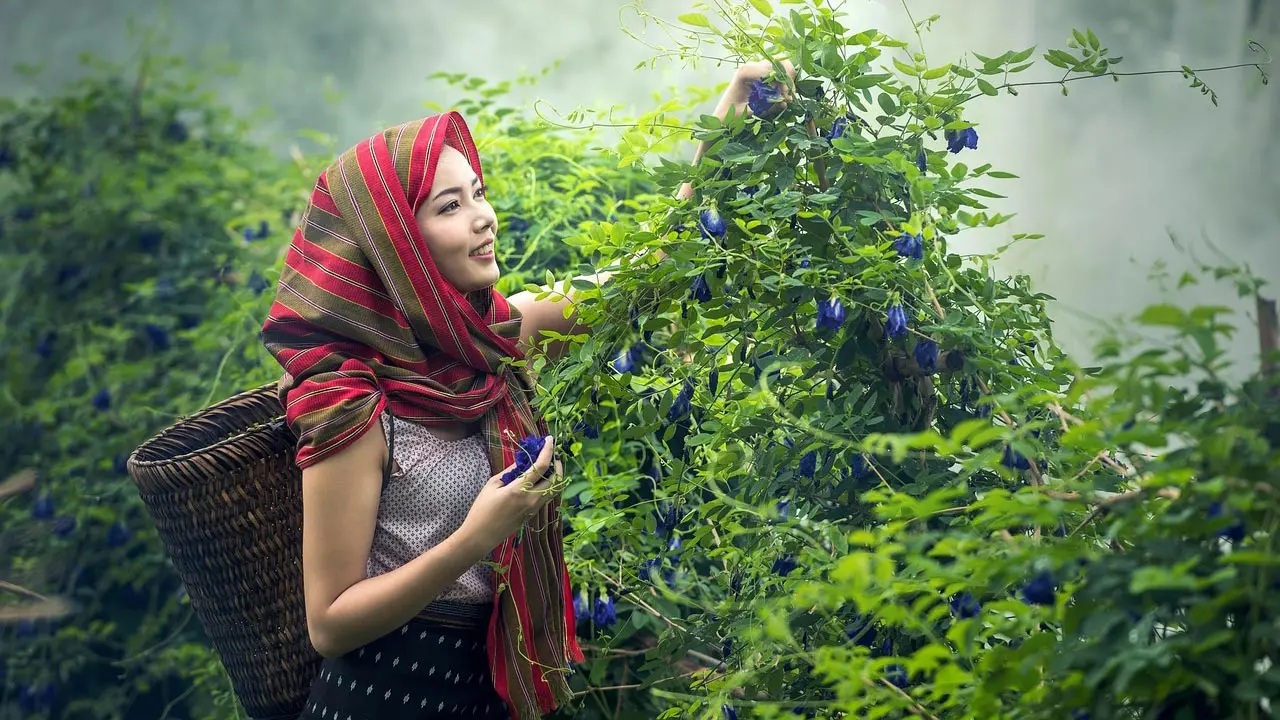 মানসিক চাপ? দূর করার সহজ একটি উপায় জেনে নিন