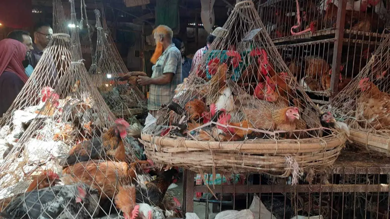গরুর মাংস ৮৫০, ব্রয়লার ২৩০