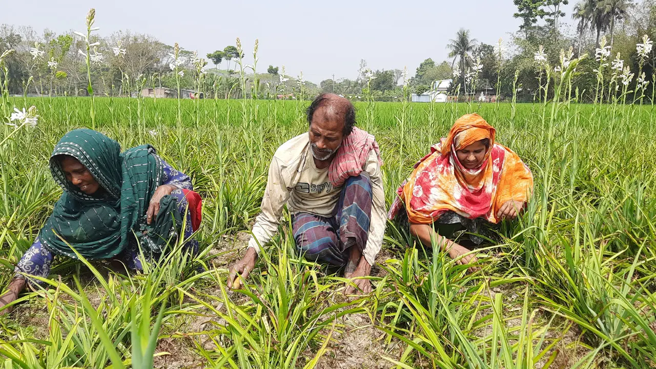 কাজ বেশি মজুরি কম, বৈষম্যের শিকার নারীরা