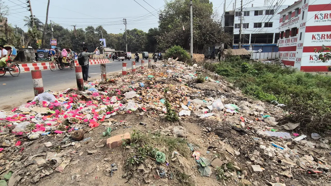 রাজবাড়ীতে মশার উপদ্রবে অতিষ্ঠ পৌর বাসিন্দারা, নির্বিকার কর্তৃপক্ষ
