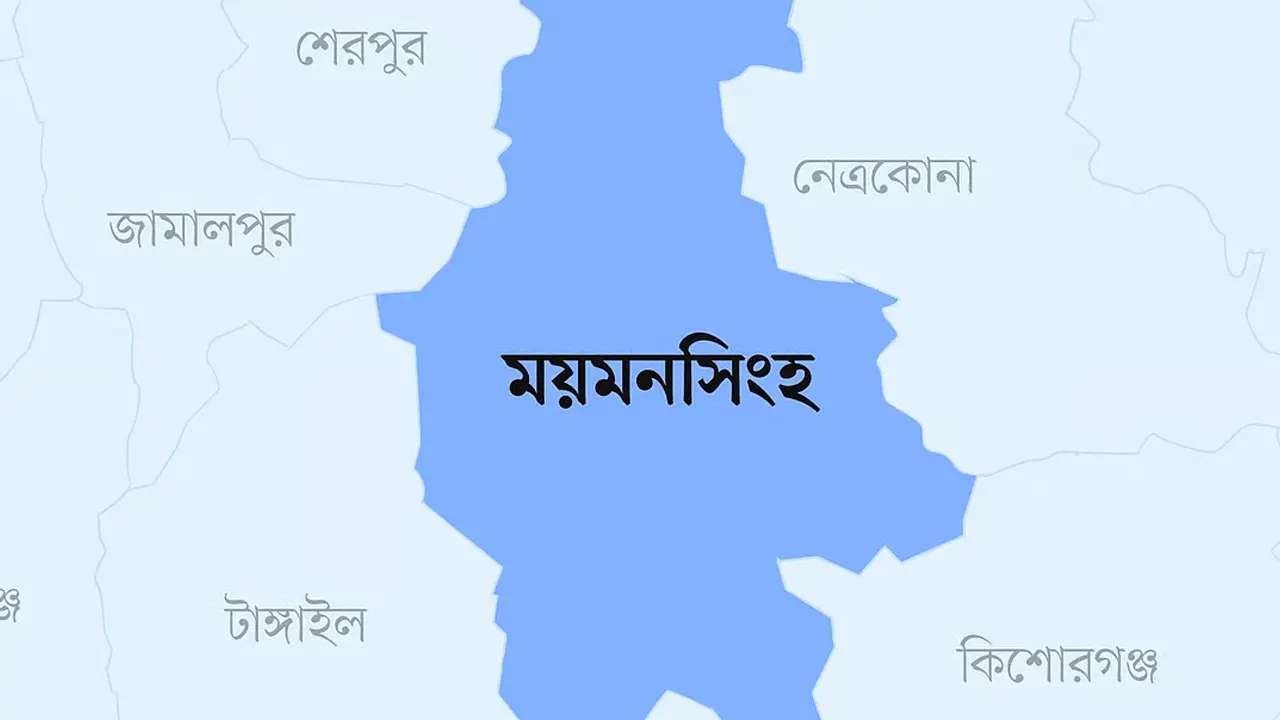 বাড়ির পাশে গর্তে জমে থাকা পানিতে ডুবে প্রাণ গেল দুই শিশুর