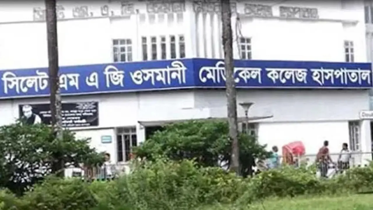 চলন্ত অটোরিকশার ওপর ভেঙে পড়ল গাছ, নিহত ১