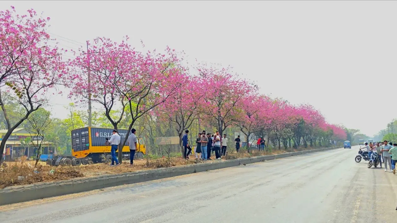 ফুলের শোভা ছড়ানো মহাসড়কে টিকটক ভিডিও ঠেকাতে পুলিশের টহল জোরদার