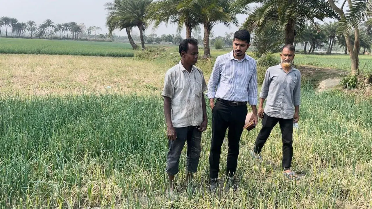 ঘাস মারা বিষে পেঁয়াজক্ষেত নষ্ট, চাষির পাশে এসি ল্যান্ড