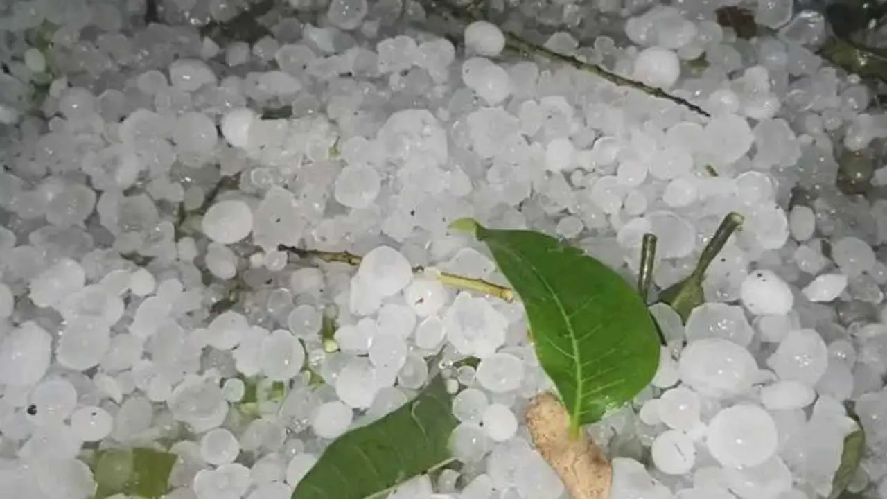 ৫ দিন দেশের বিভিন্ন স্থানে বজ্রসহ বৃষ্টির আভাস, শিলাবৃষ্টির শঙ্কা
