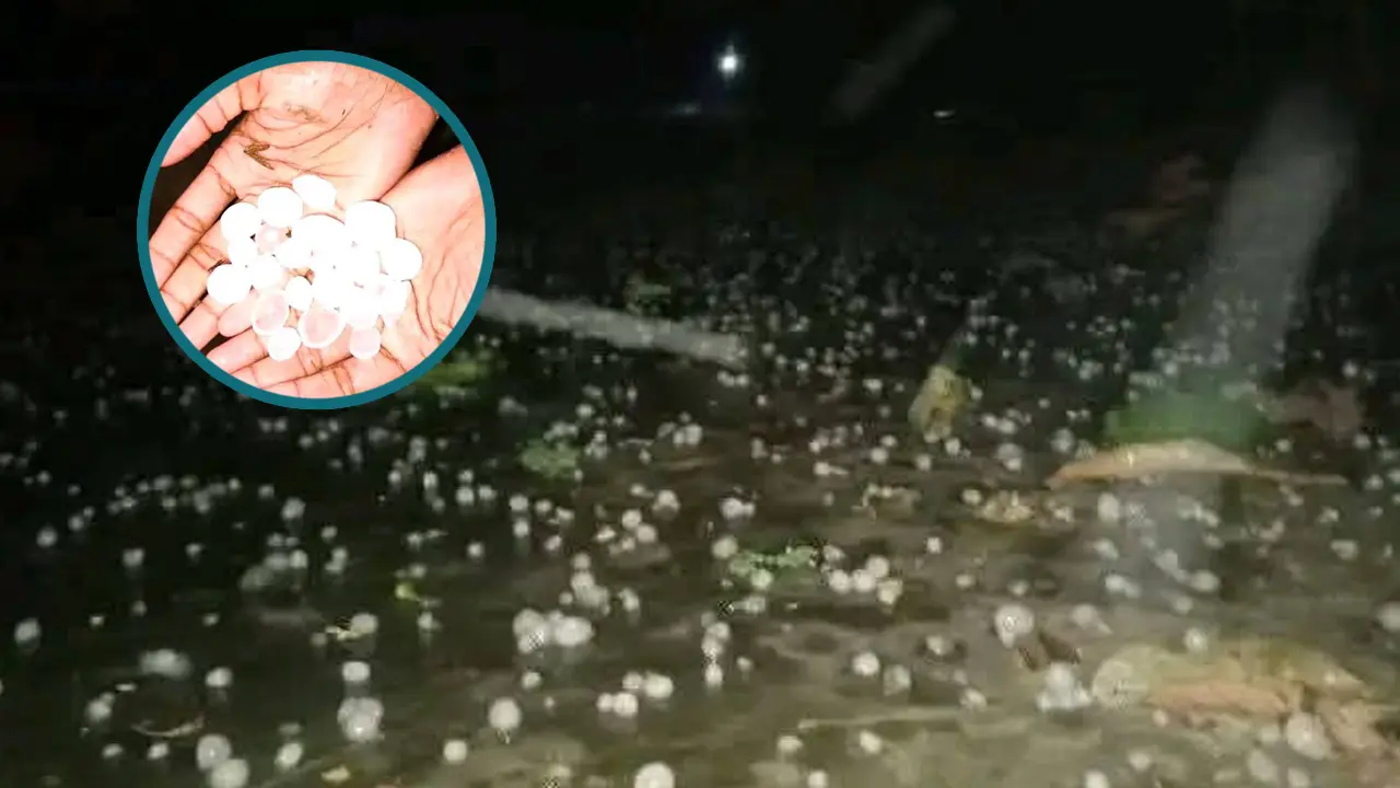 শেরপুরে আকস্মিক শিলাবৃষ্টি-কালবৈশাখী, ক্ষতির আশঙ্কায় দুশ্চিন্তায় কৃষক