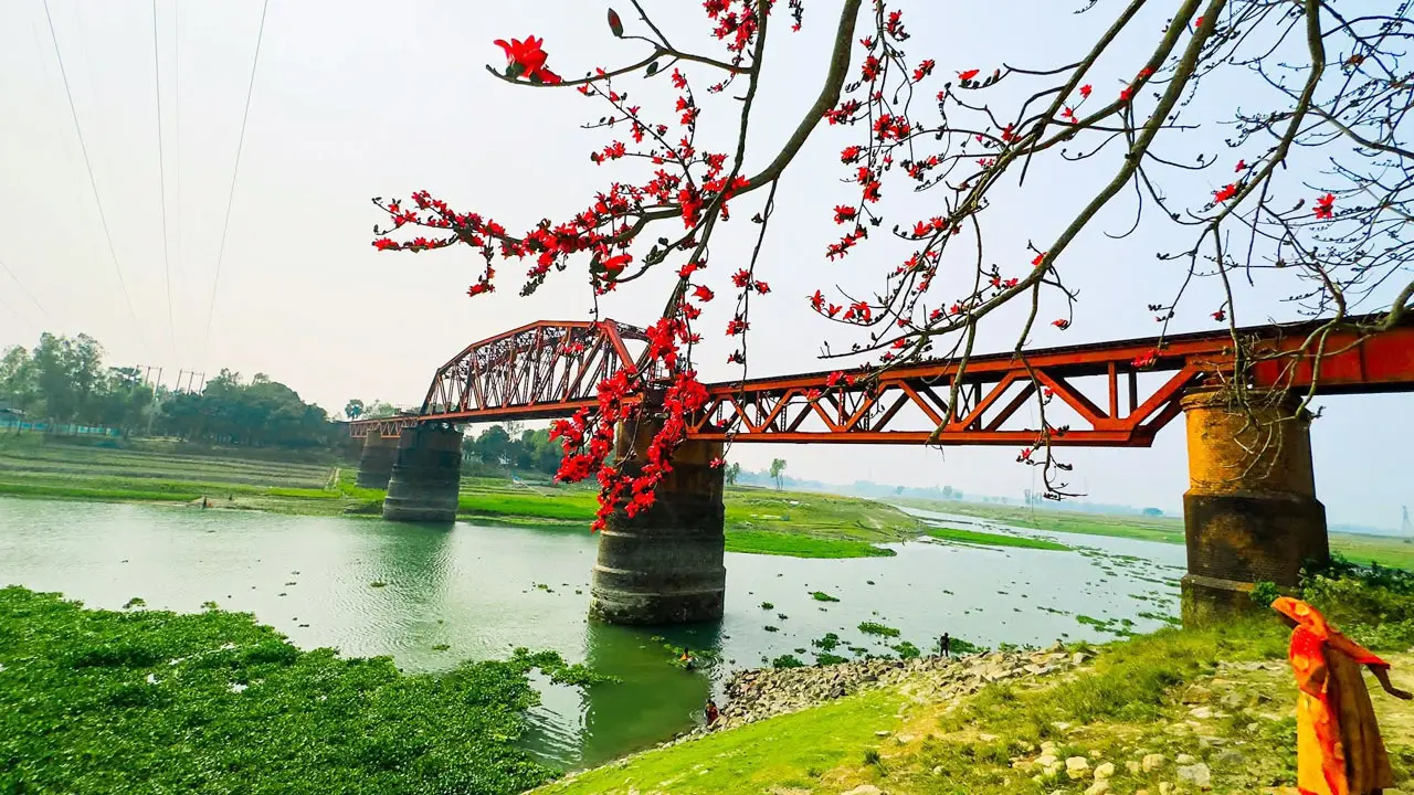 রেলসেতুতে সেলফি তুলতে গিয়ে ট্রেনের ধাক্কায় দুই যুবকের মৃত্যু