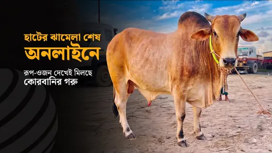 রূপ-ওজনে ডিজিটাল চমক, চাহিদা বেশি শরিকানায়