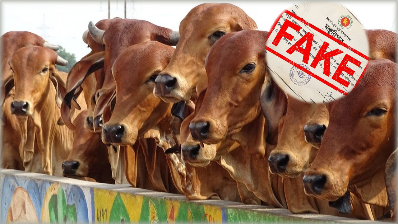 dhakapost