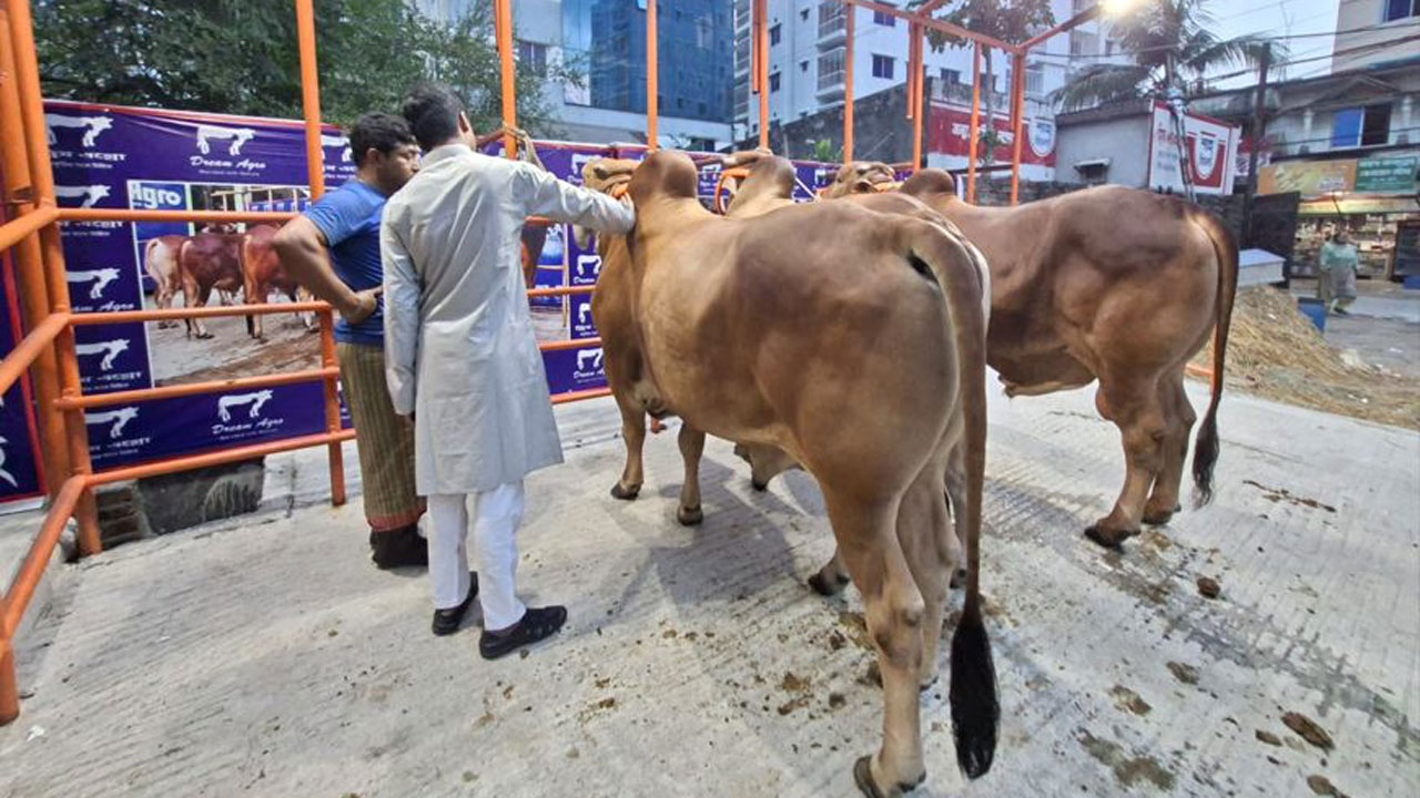 dhakapost