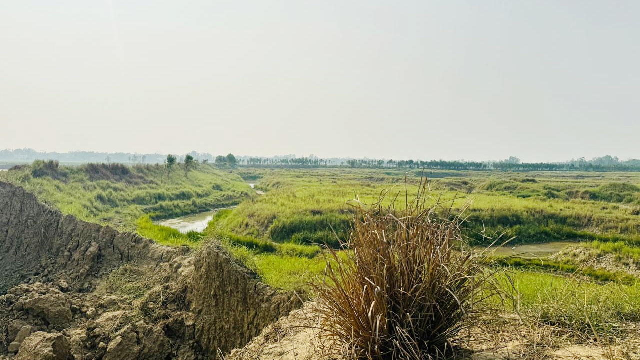 dhakapost