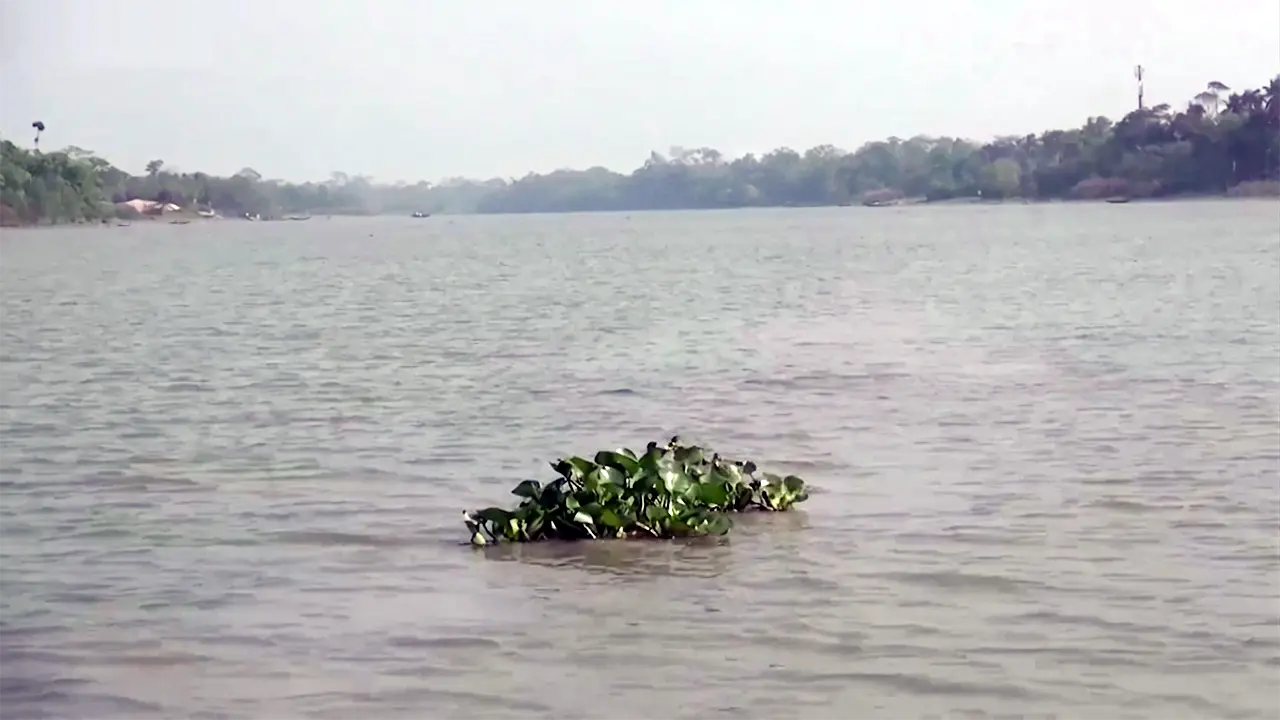 মাছধরা ট্রলারে জলদস্যুদের হামলা, ১২ জেলে অপহরণ