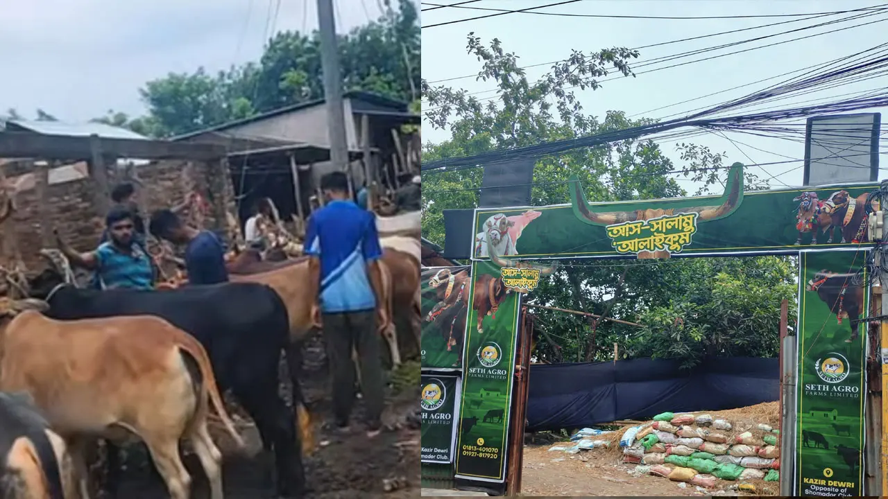 হাটে খামারিদের অপেক্ষা, ক্রেতারা ঝুঁকছেন অ্যাগ্রো ফার্মে
