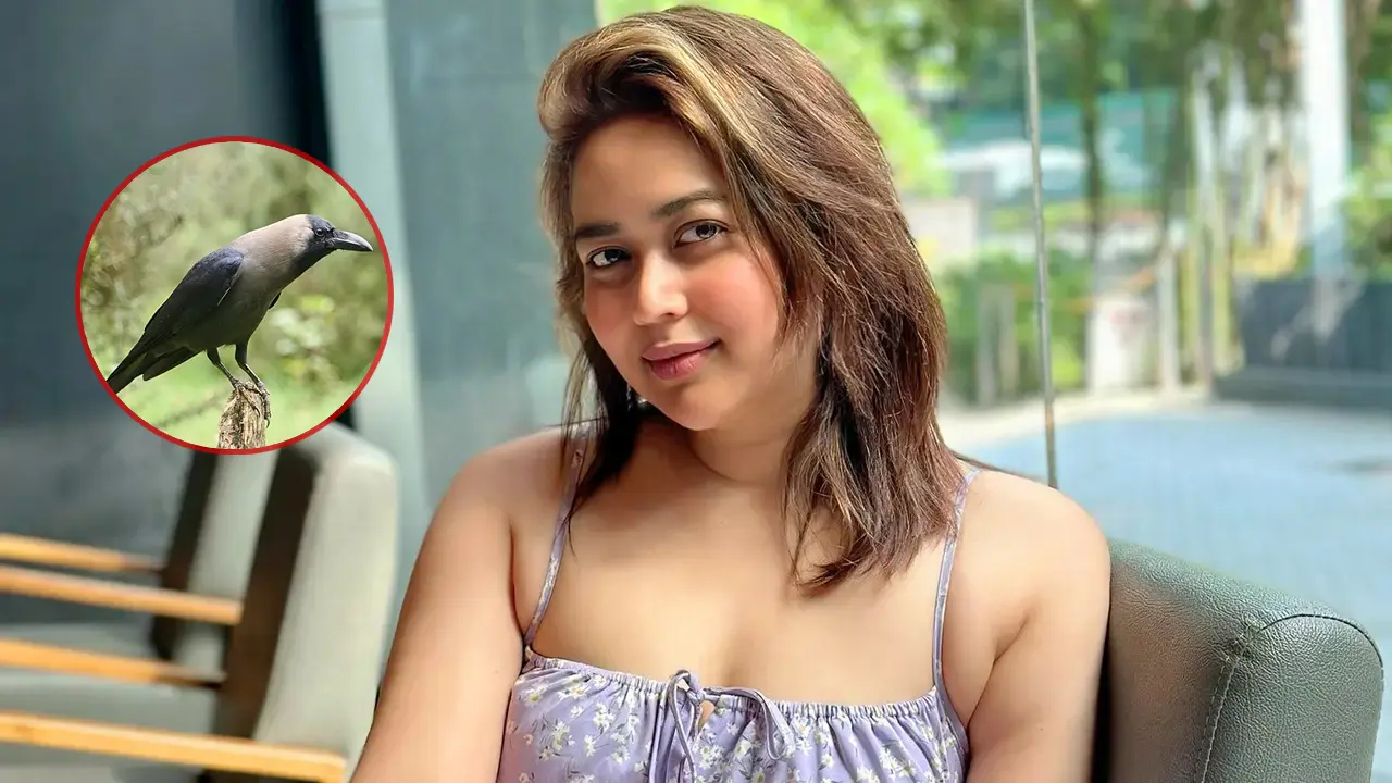 ‘কাকের’ প্রেমে পড়েছেন ভাবনা