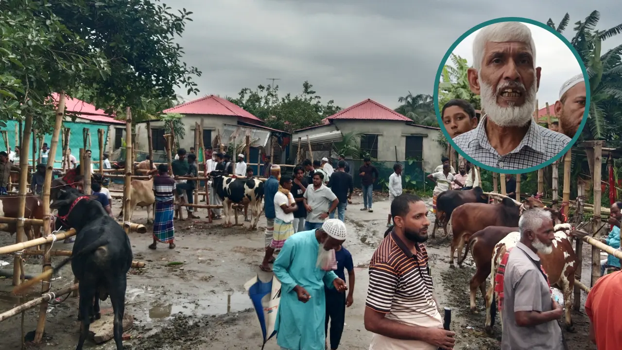 ইজারা ছাড়া হাট বসিয়ে বিএনপি নেতা বললেন ‘দল ক্ষমতায়, তাই হাট করছি’