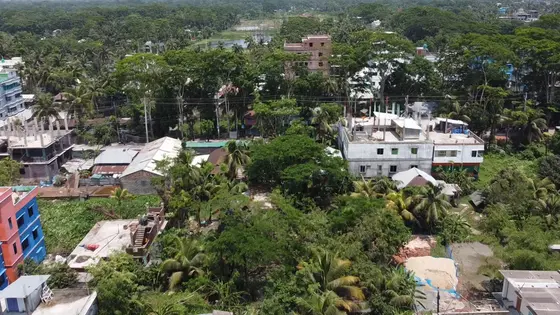 আসছে ডেঙ্গুর মৌসুম, মশক নিধনে কার্যক্রম নেই হটস্পট বরগুনায়