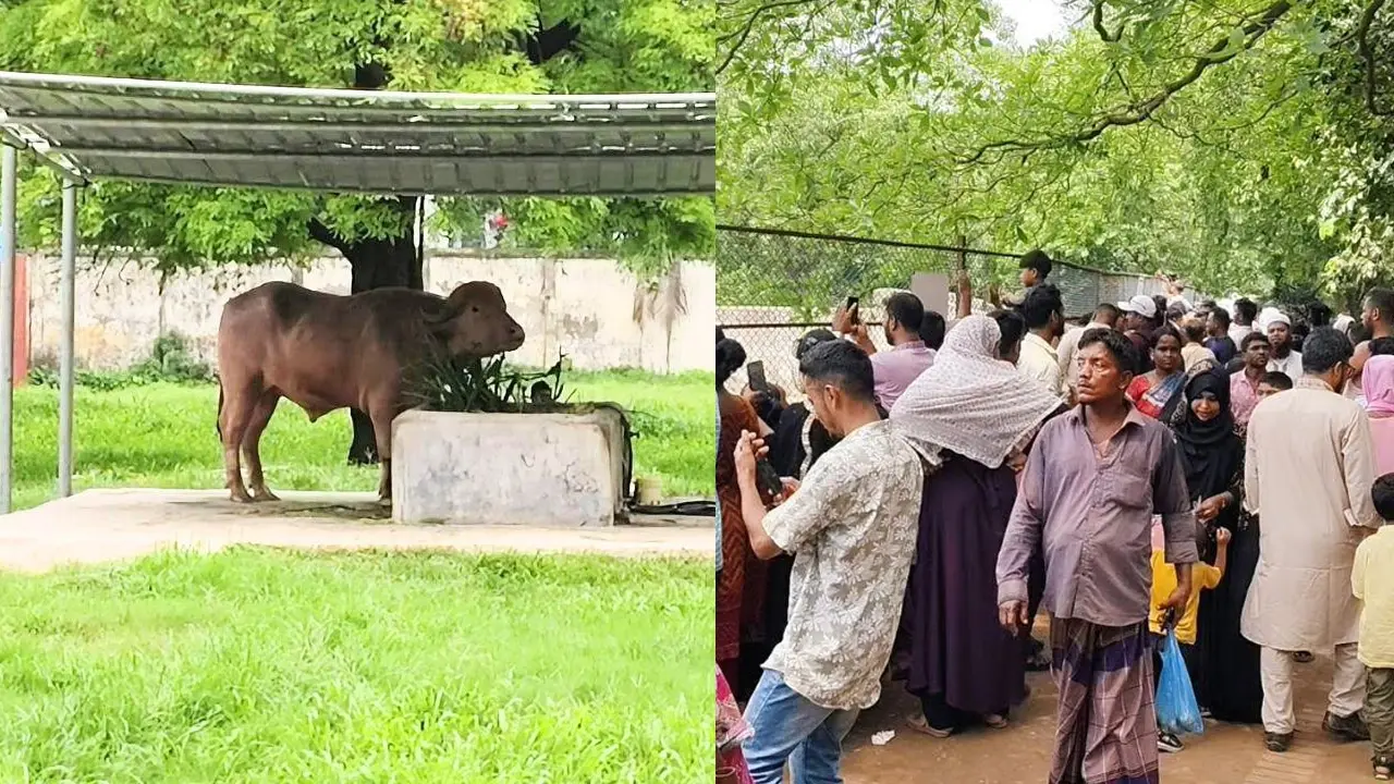 চিড়িয়াখানায় দেয়ালবন্দি ‘ডোনাল্ড ট্রাম্প’কে দেখতে দর্শনার্থীদের ভিড়