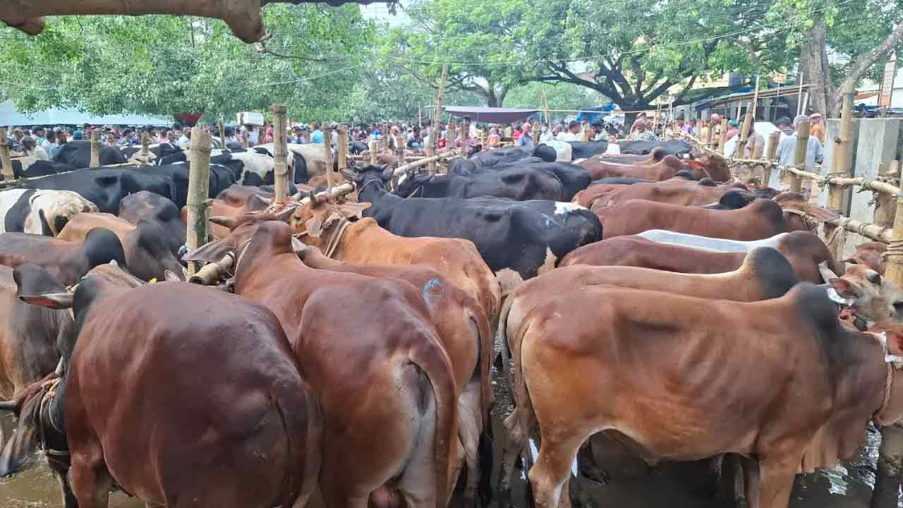 dhakapost