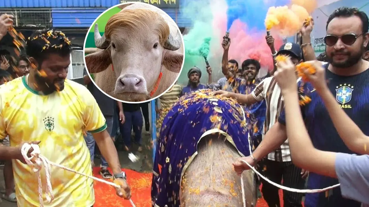নারায়ণগঞ্জে ভাইরাল ‘ডোনাল্ড ট্রাম্প’কে লাল গালিচায় বিদায়