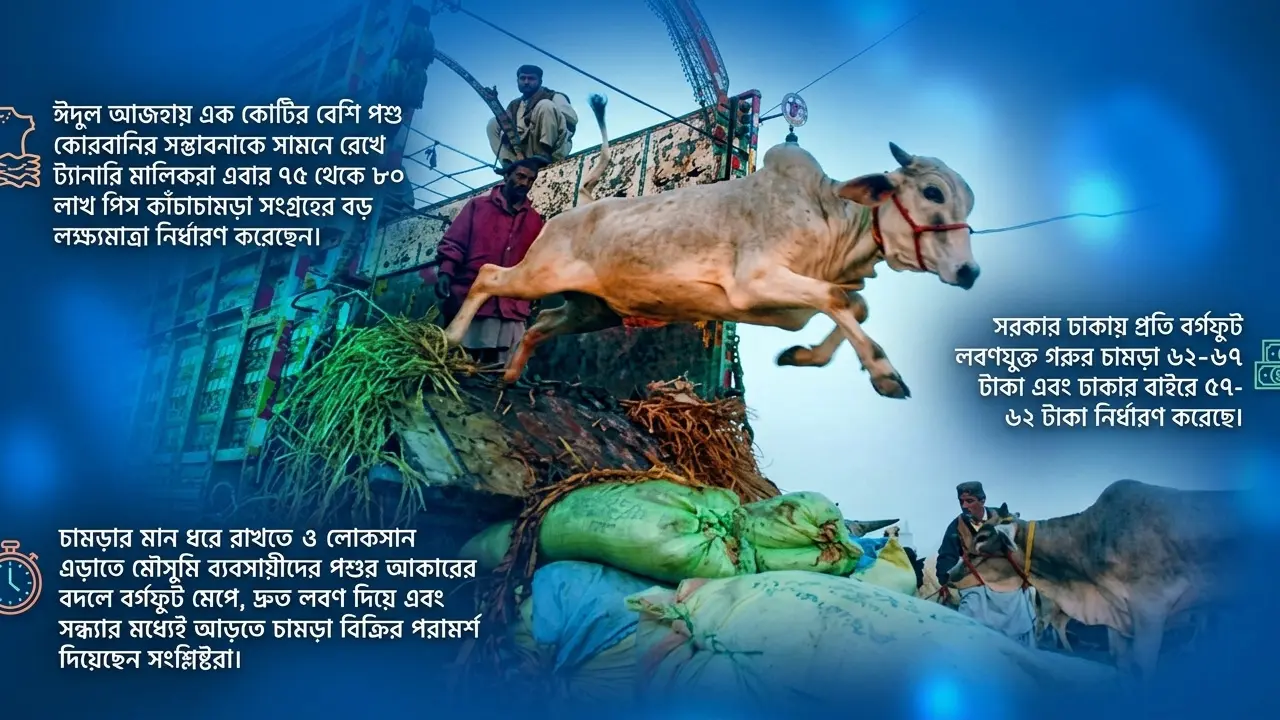 এক সময়ের ‘সোনা’ চামড়া খাত সংকটে, এবার কী ফিরবে সুদিন?