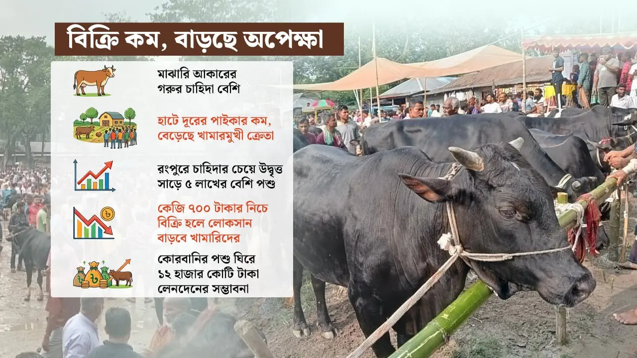 রংপুরে জমজমাট পশুর হাট, বিক্রিতে হতাশ খামারিরা