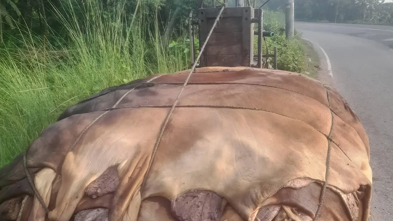 চামড়ার ন্যায্যমূল্য না পেয়ে হতাশ মাদরাসা ও এতিমখানা কর্তৃপক্ষ