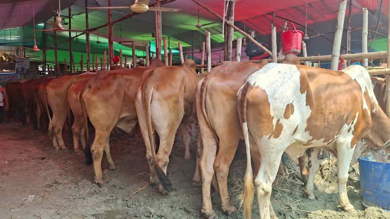 dhakapost