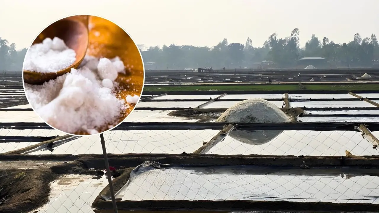 লবণ উৎপাদনে বড় বিপর্যয়, কুরবানির চামড়া সংরক্ষণে সংকটের শঙ্কা