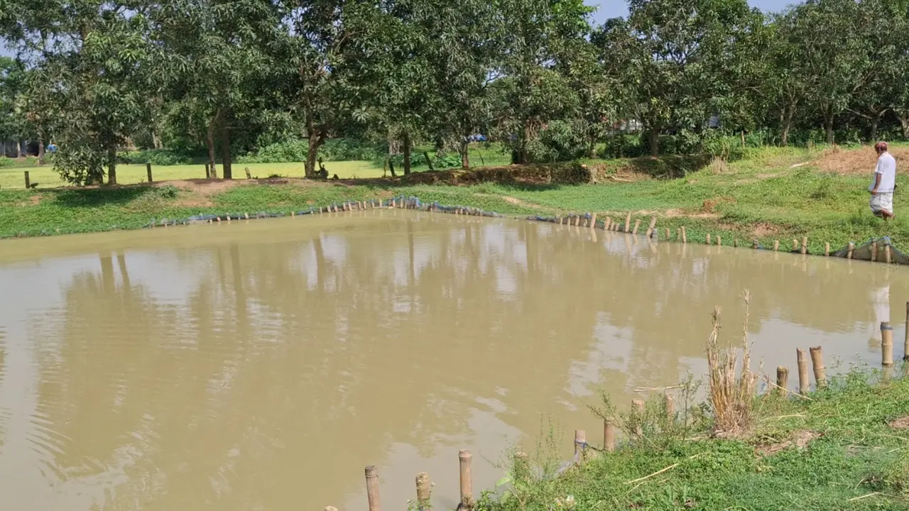 গাজীপুরে পুকুরে ডুবে প্রাণ গেল দুই শিশুর